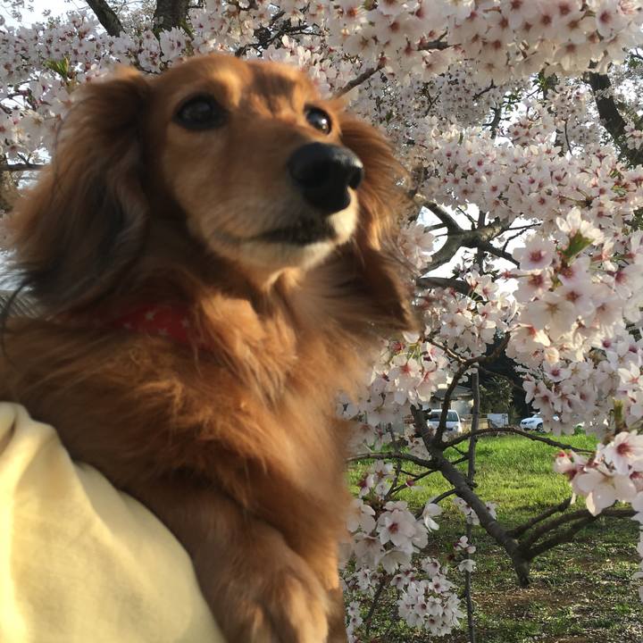 D8e5bbe9 aef1 40a2 9e73 88caad2d3049 1522584777107