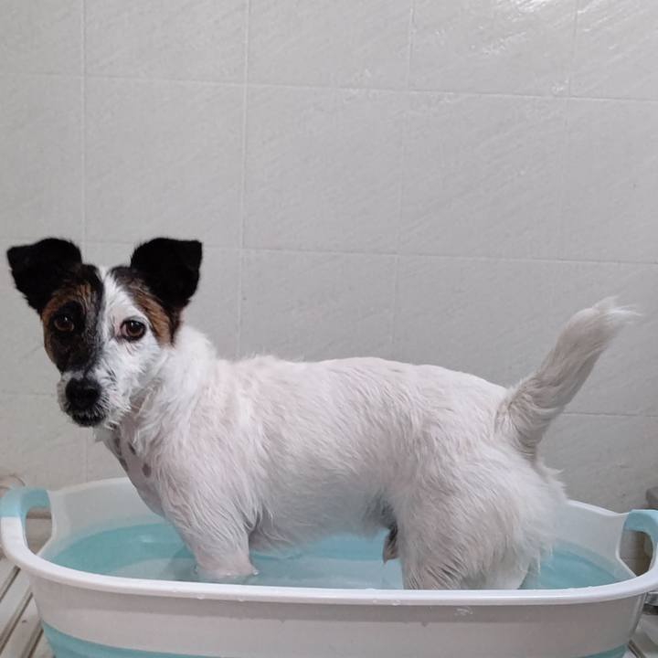 D8e5dac4 56ff 4496 bc61 b660a7cb4f52 1655034182175