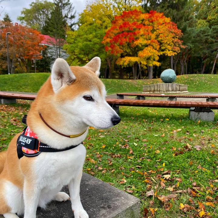 D8e5ec27 ae02 4f62 9056 875bf3d43c20 1698886526173