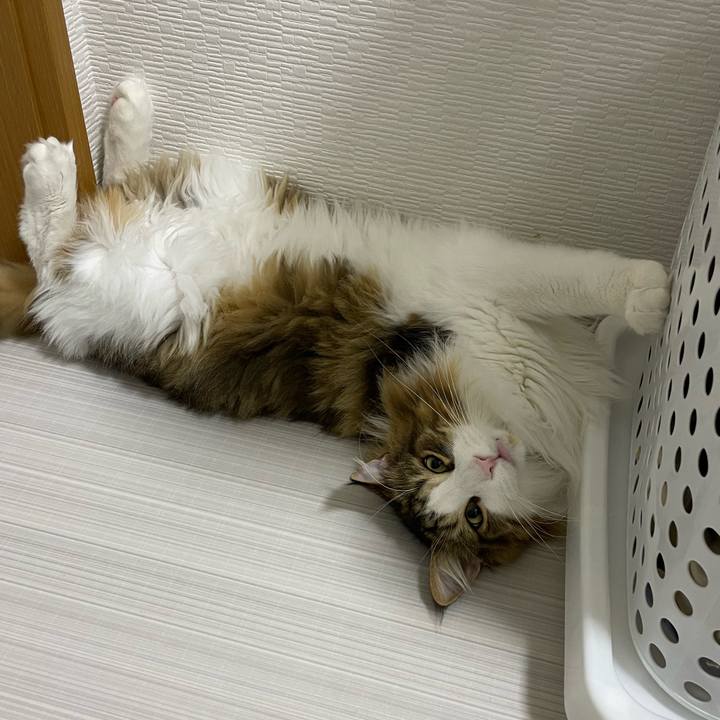 D8e5fb46 e103 4972 88dc 686ca1f2e27b 1668801993424