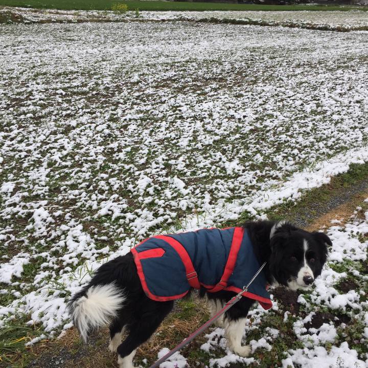 D8e60268 2165 46f9 b6c9 d8b38f4601f6 1581986464783