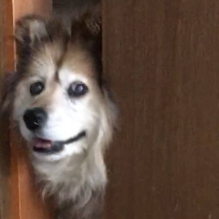 D8e60988 1678 483c 84fd 2fcb0f0054de 1600757333537