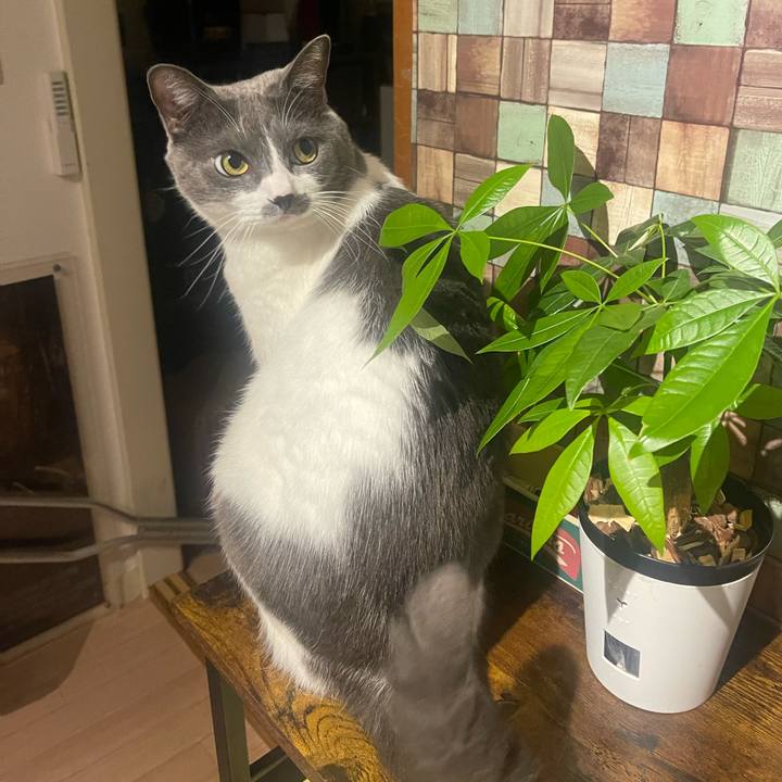 D8e629f7 8645 474f adc2 2bdd2a14b35e 1728492227036