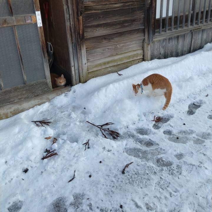 D8e63086 a2f3 428e bae6 41a145378d31 1739314265146