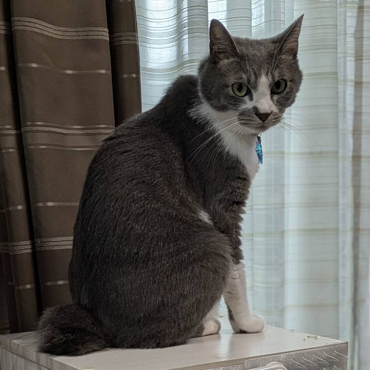 D8e65c44 da3c 4a4a 8026 44f722190874 1758361767305