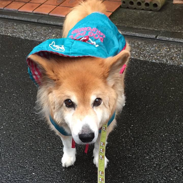 D8e6ccf9 5124 465d 8768 20376c15e2e2 1508054952322