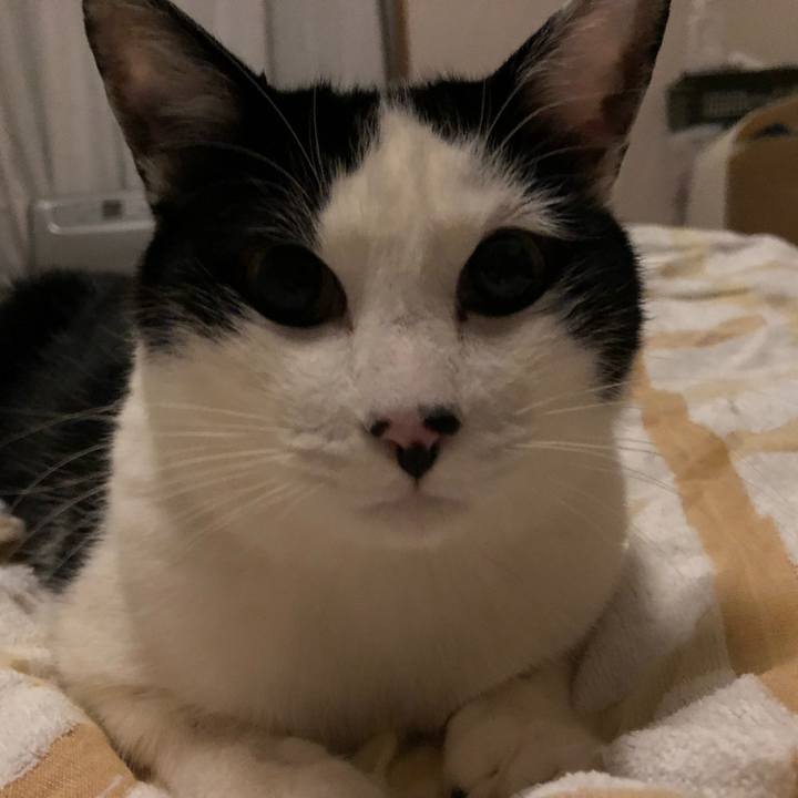 D8e6fbb9 a35f 4afe b79b bdc4a5c06951 1548521293881