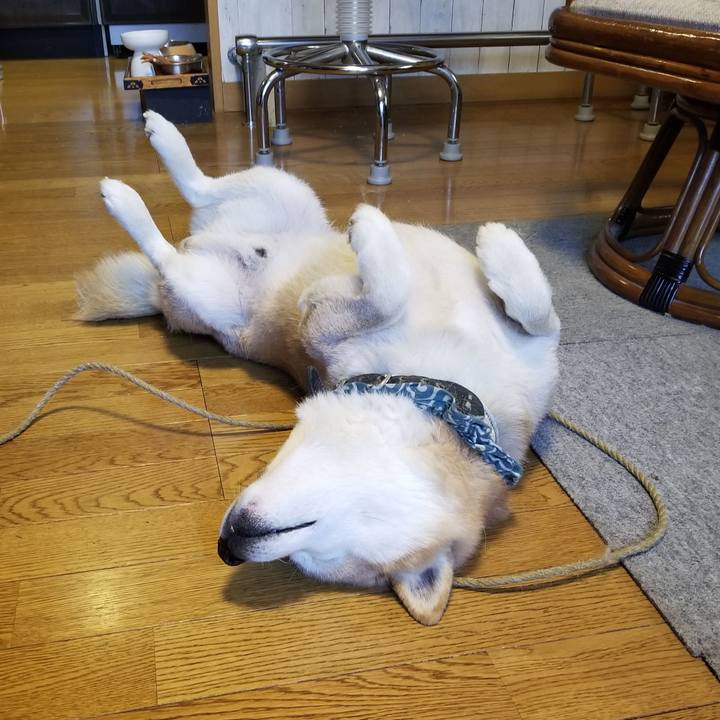 D8e726de 31dc 4e22 bb69 cb783243bfba 1707262333700