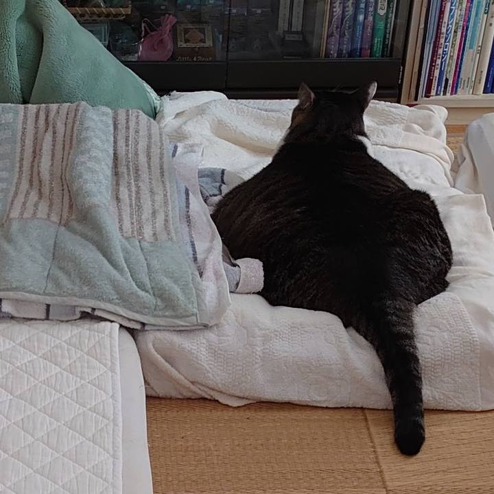 D8e72b73 b326 414f aad0 a74d7f46dd05 1601644789789