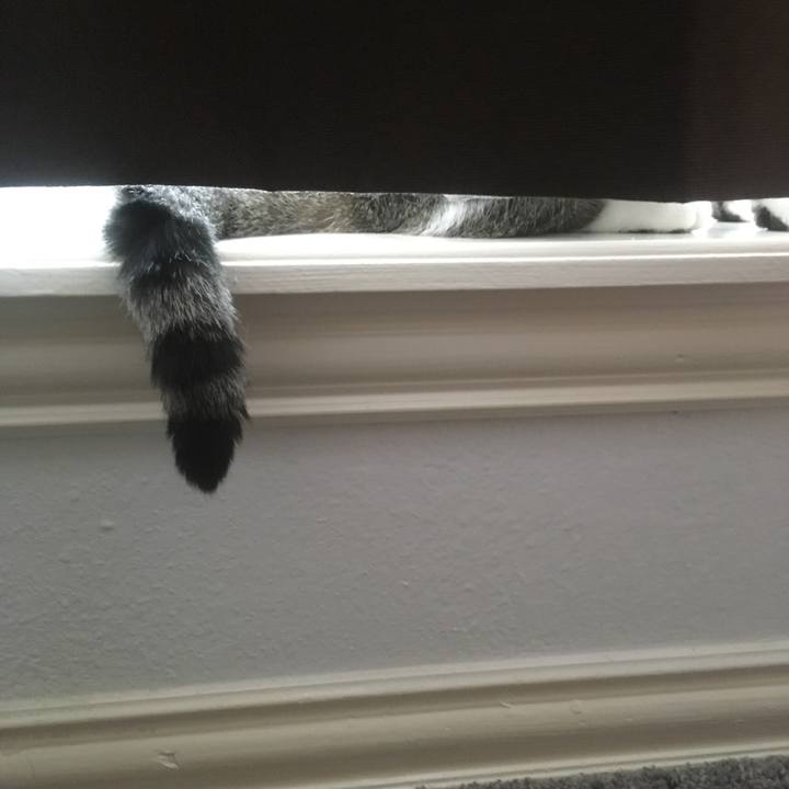 D8e73f61 ecec 40f2 813b d17f56946c23 1656457880776