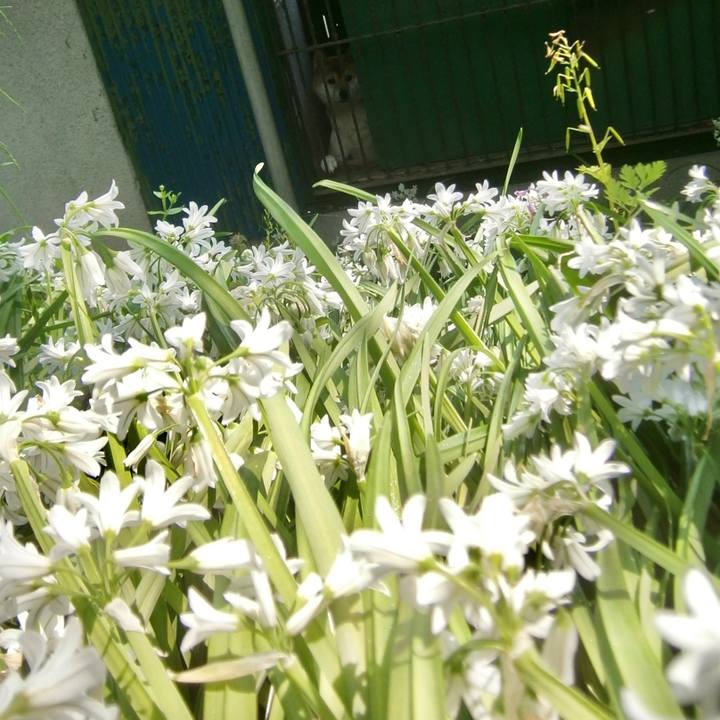 D8e793af 9445 401e 84b3 68a65f02ac09 1616561230697