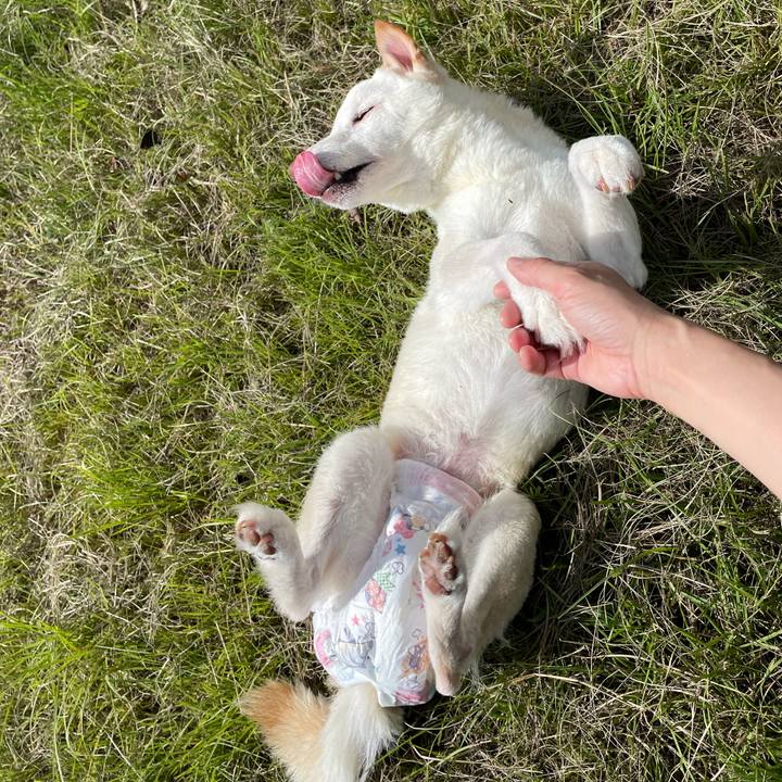 D8e7ad3d 98cd 4aa6 b425 82c71cde207f 1665460825827