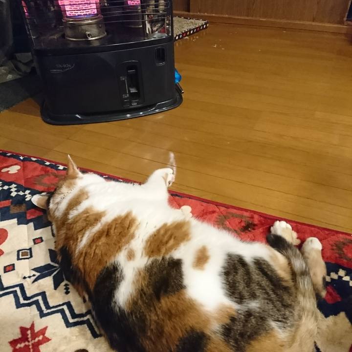 D8e7b50f 6be9 4fb2 b59d 6ff023ecddce 1545067883395