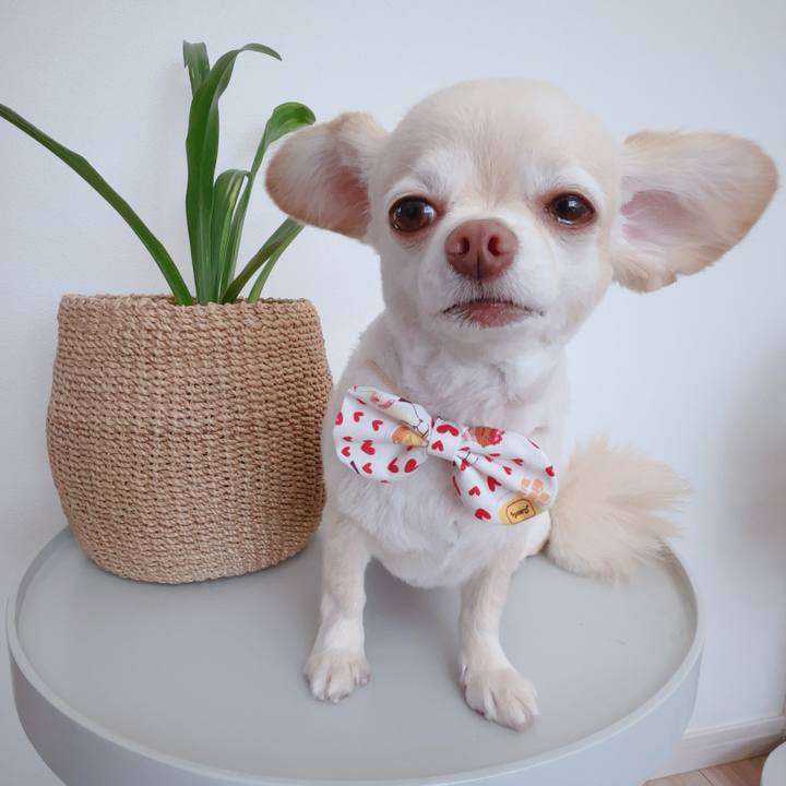 D8e7c606 8dd7 42c7 a1a3 6241f432f30e 1755599524795