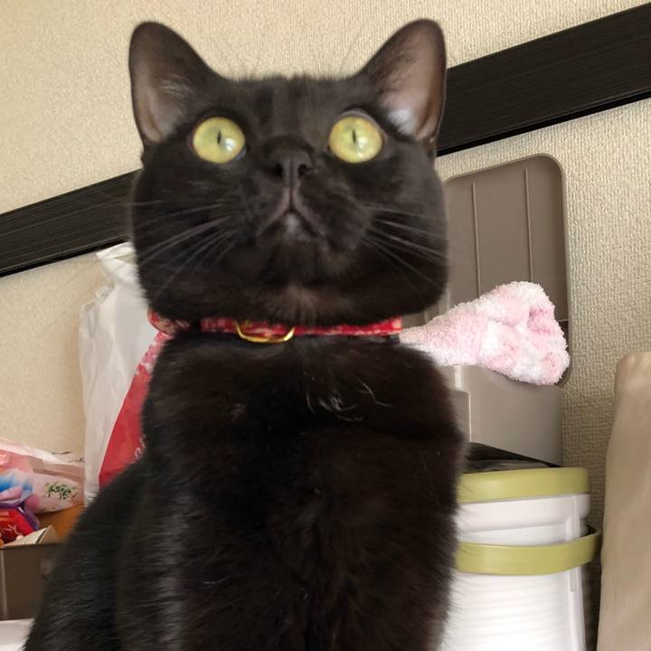 D8e80140 d5f7 43dc ac36 e03b63b71e89 1519254858977