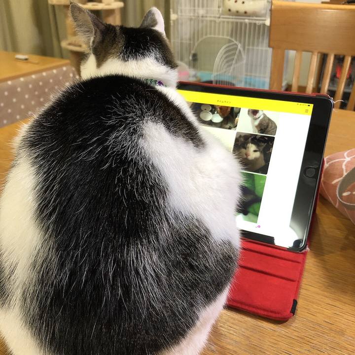 D8e81eef 408f 4492 beda aac3cd80d6c1 1676021609910