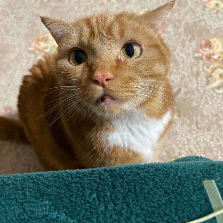 D8e83b63 d33f 4946 98dd 3bf567813b47 1647090750248