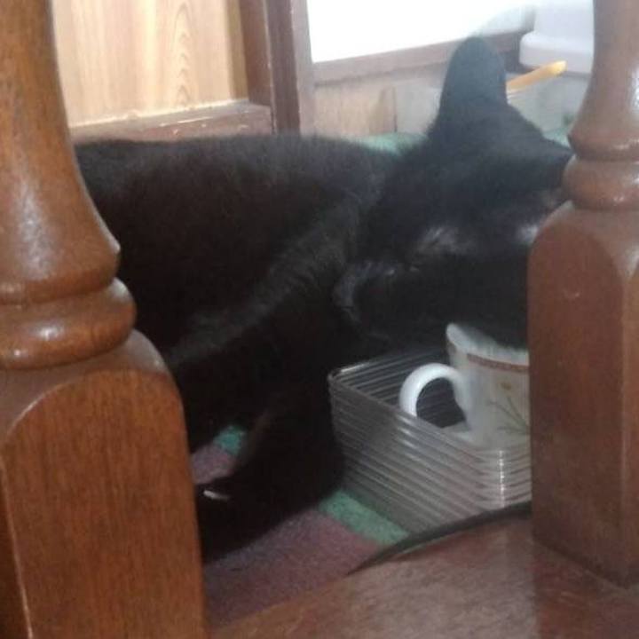 D8e8c13f bab6 4d62 a8ca 50fd8a8a610a 1692262582758