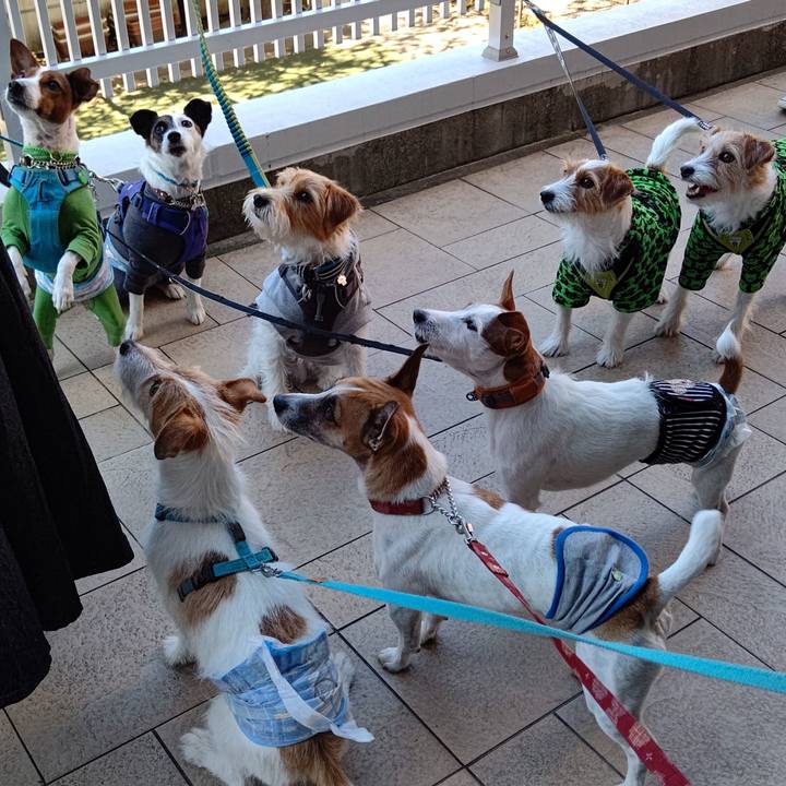 D8e8d768 0011 407d 9237 0043a22ffd19 1634714625609