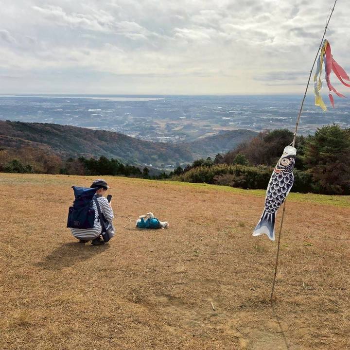 D8e93c9e cbee 4b91 a984 b867e011a0cb 1765713123308