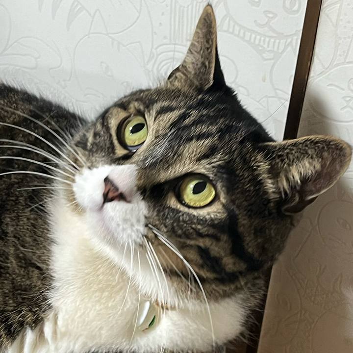 D8e9415a a3bf 4f48 9f89 340cf081a40a 1774914599451