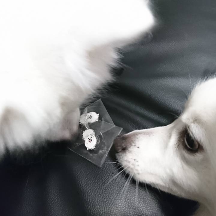 D8e9470f 036f 4471 a3c3 5cfbf0e7754d 1578401956290