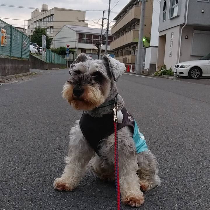 D8e95cce b547 4a10 8809 1c6547d982af 1569444328670