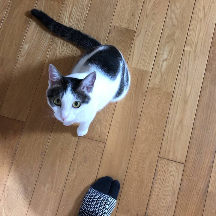 D8e95df8 e46a 48f4 8939 736d69e3e6a3 1600345113047