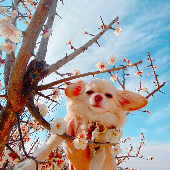 D8e9b7fb c7ba 4ffd b302 3b71682d8567 1646122650457