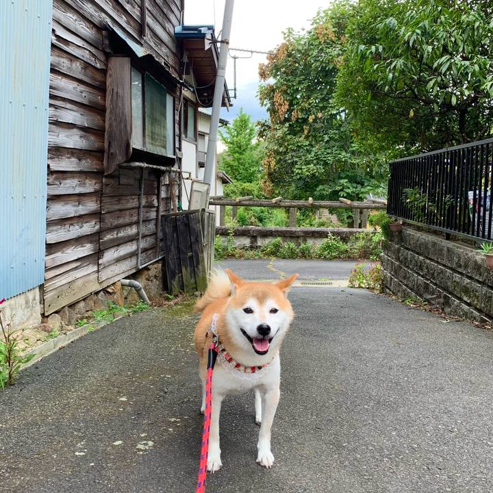 D8e9d898 3f31 401e b4b0 1e6362997661 1663930261684