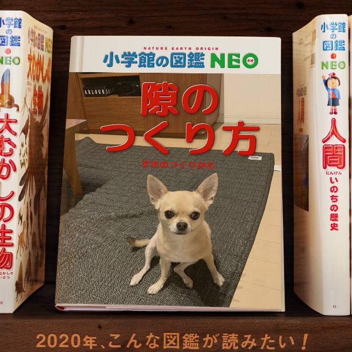 D8e9da03 1c29 4a6b aa31 eb68f0ce7ca7 1578045955285