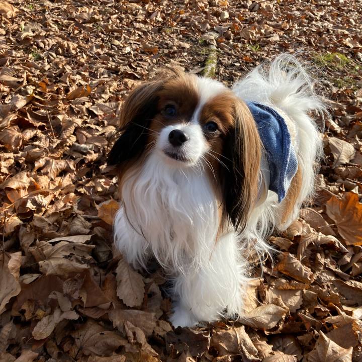 D8e9f3b5 0314 4c63 b467 9b984dae4d77 1669177211431