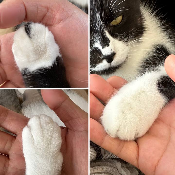 D8e9f539 af7f 479f 8912 f7d277251086 1762733745122