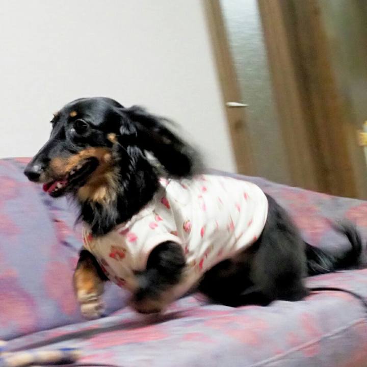 D8e9f75c c416 41c8 8066 b3aa2b173436 1535555690135