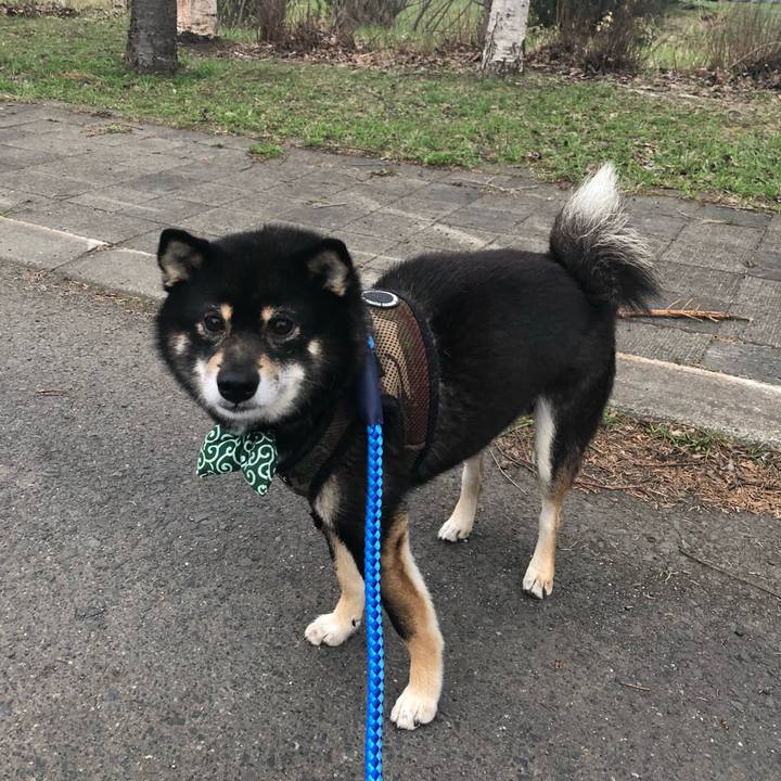 D8ea10c9 295c 4564 ad86 0fcd5daad1ad 1524614681918