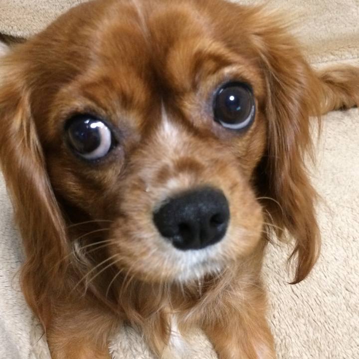 D8ea1f15 994c 4587 9a7d f823c30f8bde 1516657767465