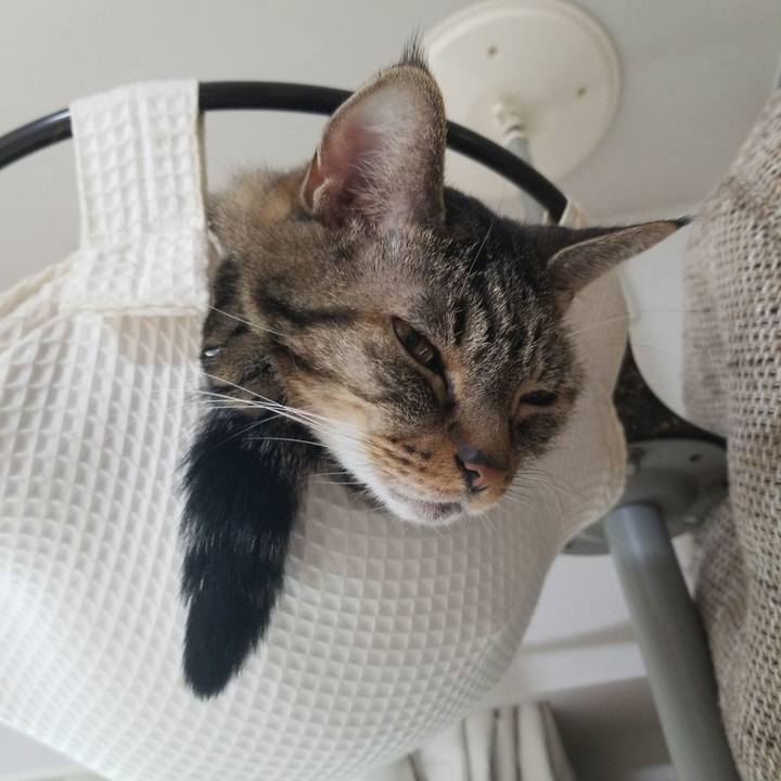 D8ea6816 48e5 486c a5d5 db34081cad5c 1571013557269