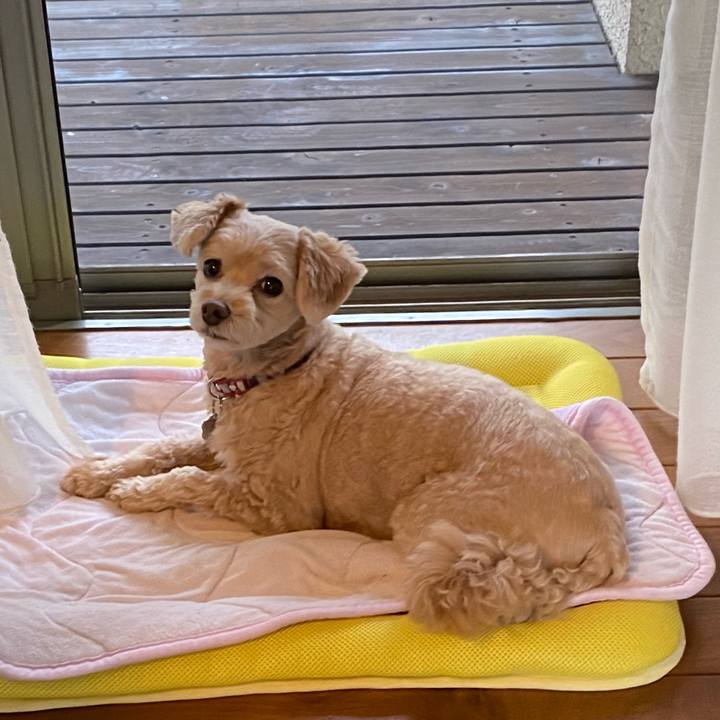 D8eab580 2beb 4049 a4c9 e01fbf857b02 1601100751061