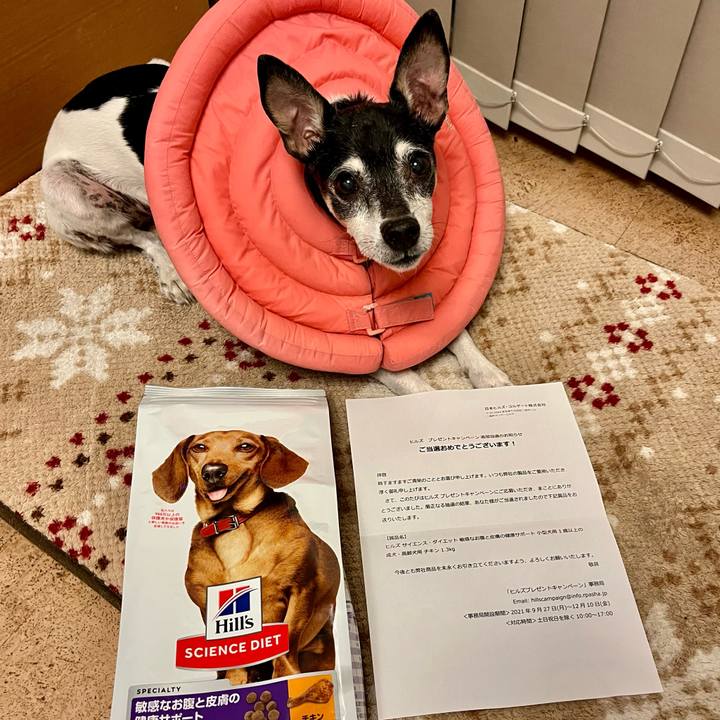 D8eac927 2185 4b94 a8b9 82d23acc85fe 1636023960645