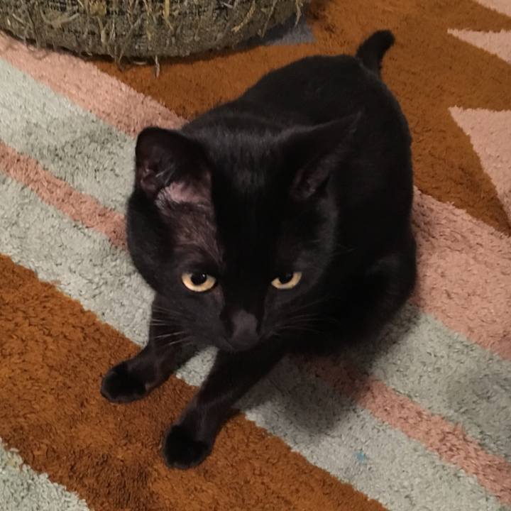 D8ead536 1420 4bc3 bef1 0b5a7d3d62e1 1547465322274