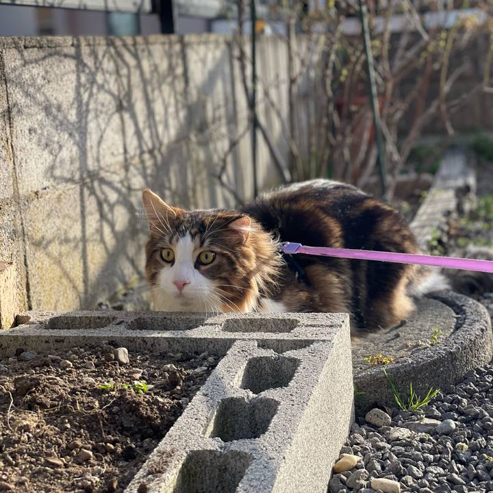 D8eaf8b4 8f0c 44d9 8a7a 7be8ebab8b4f 1650789617069