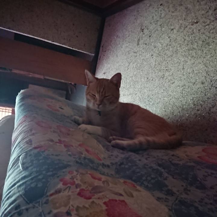 D8eb177b eff9 4c36 9b21 f85337b39773 1598398546309