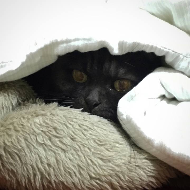 D8eb3eb6 9b40 41e2 92d2 31f88845101b 1574515441646