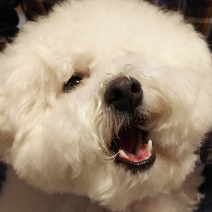 D8eb4ba3 8c76 4768 9aa1 338f89067c89 1523779593828