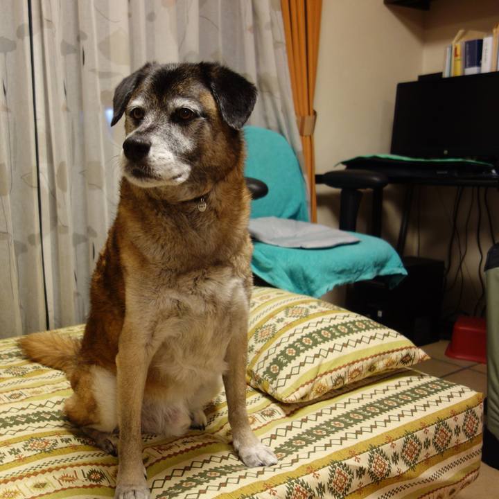 D8eb5815 1eb5 426d 8362 4b1845d74b9d 1652659819968