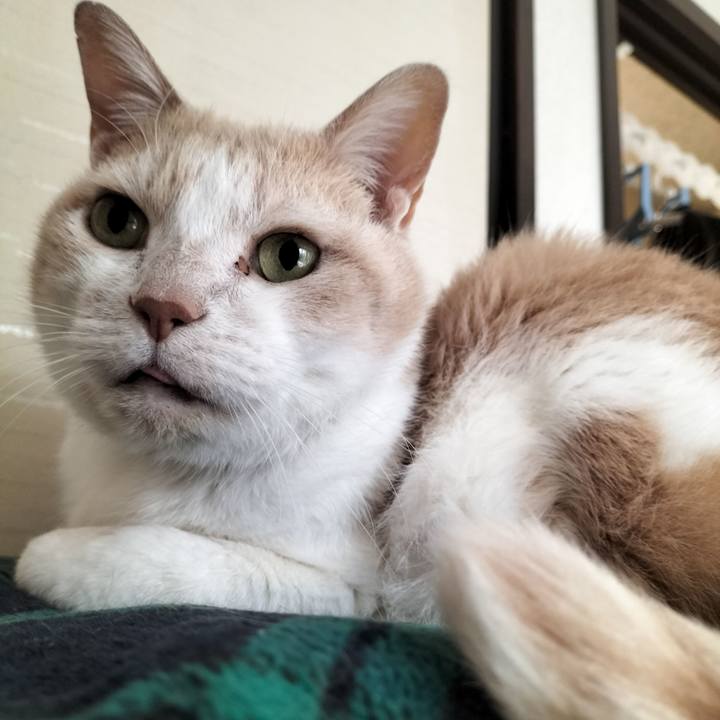 D8eb6c07 85e4 49e1 8b27 f7b04a700df2 1644187815668