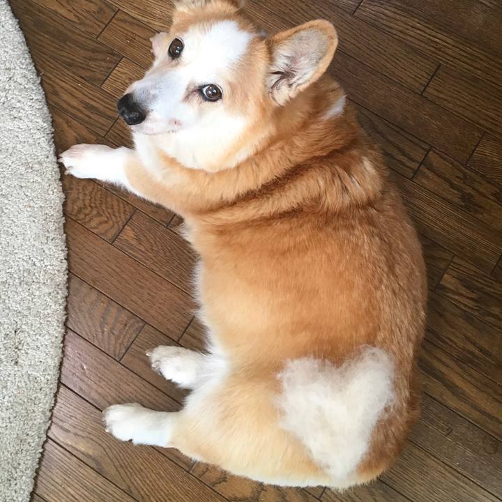 D8eb755a 0196 4597 89dd a6a8b1c80fb6 1613120446030