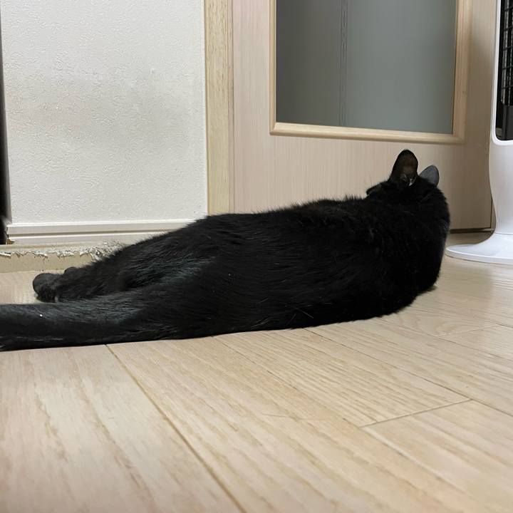 D8eb82c5 d395 40de 9275 92c97d554ea6 1752327947809