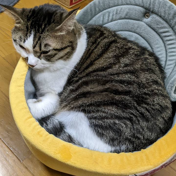 D8eb9798 c474 44dd 9e5c 34debc0e6f2a 1668324206699