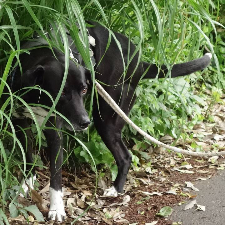 D8eb9bff 63c4 44fc 9b2f 198768050e3f 1652575281768